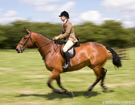 Wanborough Horse and Dog show